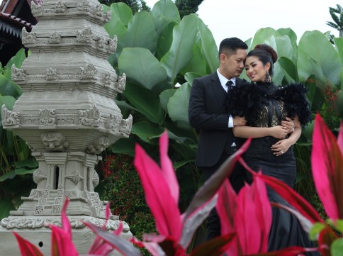 Wedding / Pre Wedding Functions